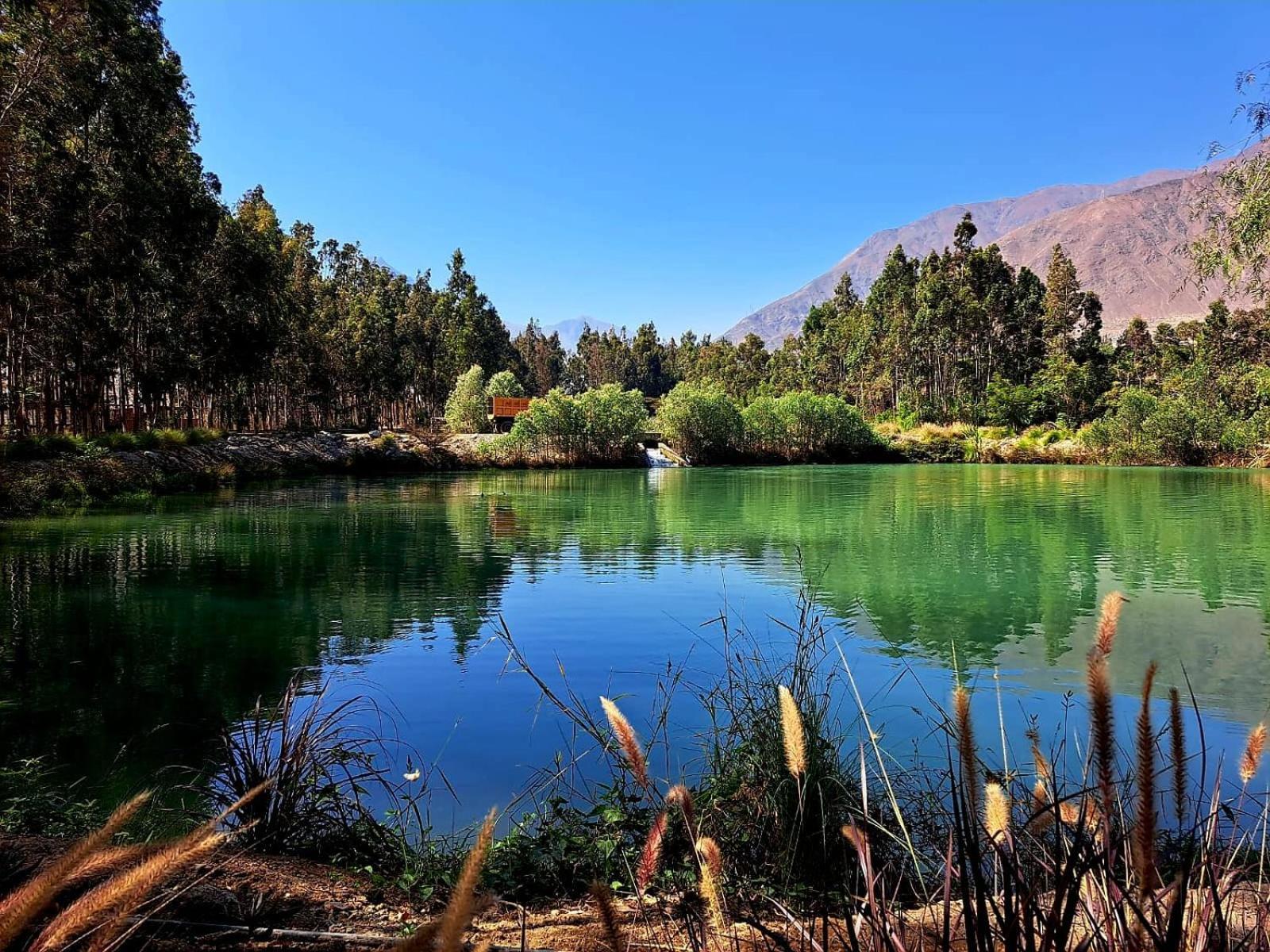 归扎多波蒂略庄园度假村 Lunahuaná 外观 照片