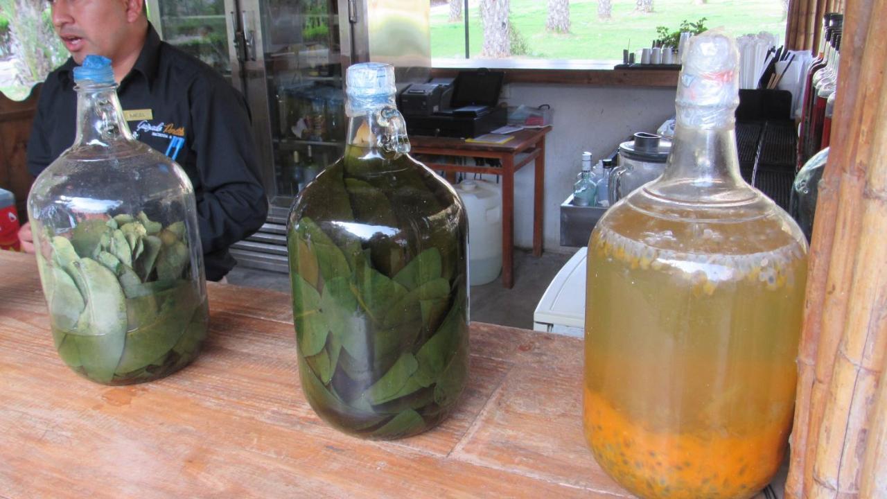 归扎多波蒂略庄园度假村 Lunahuaná 外观 照片